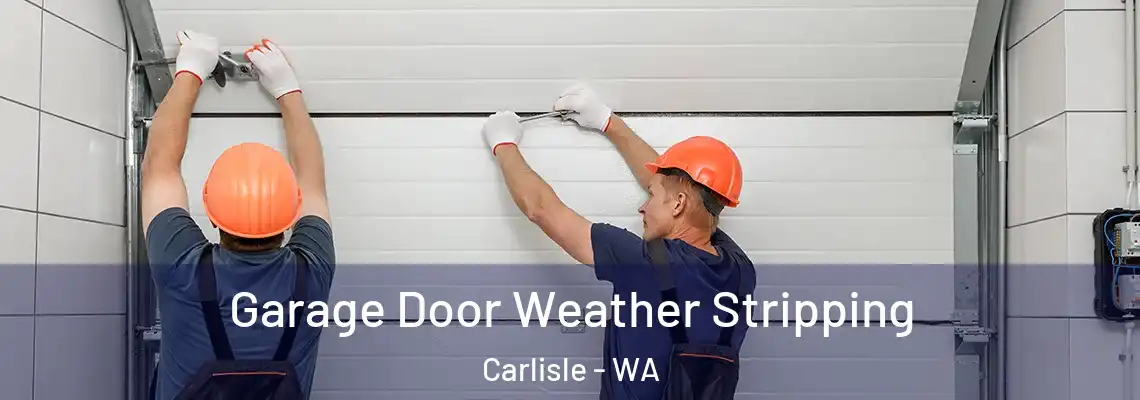  Garage Door Weather Stripping Carlisle - WA