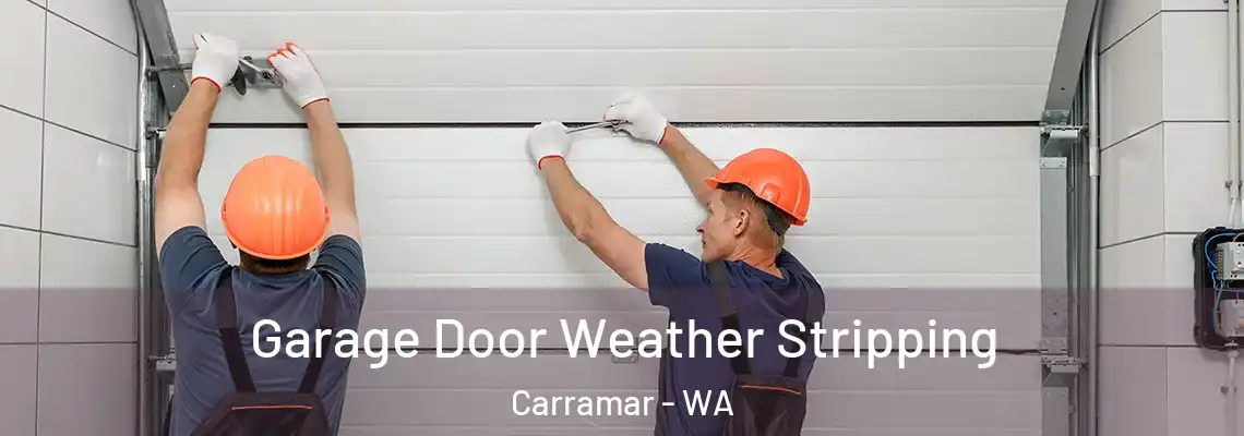 Garage Door Weather Stripping Carramar - WA