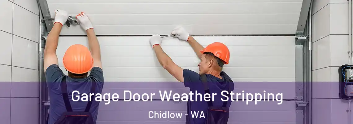 Garage Door Weather Stripping Chidlow - WA