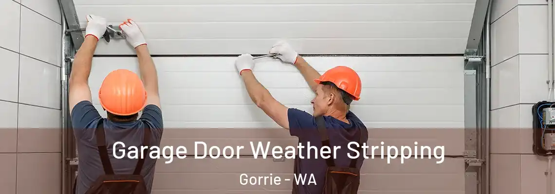 Garage Door Weather Stripping Gorrie - WA
