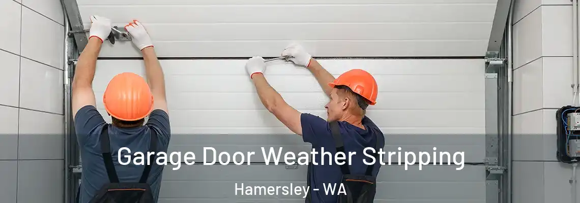 Garage Door Weather Stripping Hamersley - WA