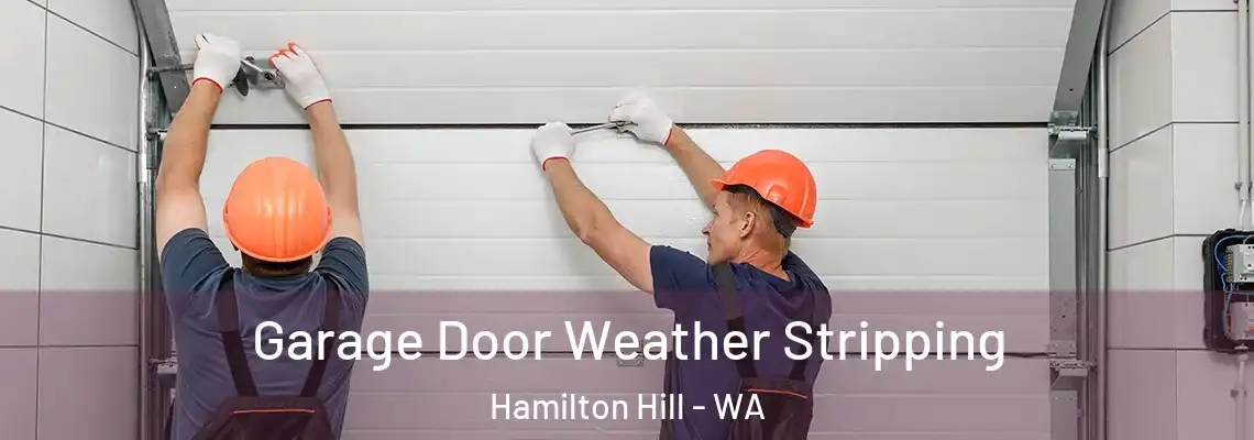 Garage Door Weather Stripping Hamilton Hill - WA