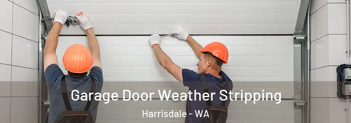 Garage Door Weather Stripping Harrisdale - WA