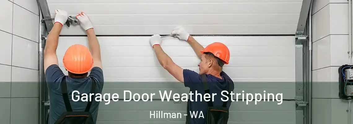 Garage Door Weather Stripping Hillman - WA