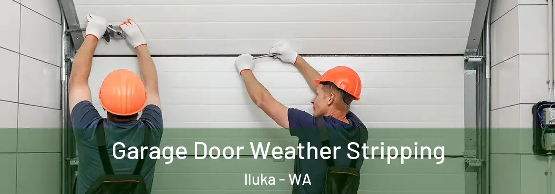 Garage Door Weather Stripping Iluka - WA