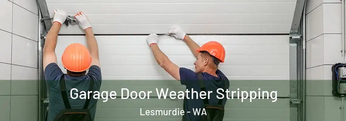 Garage Door Weather Stripping Lesmurdie - WA