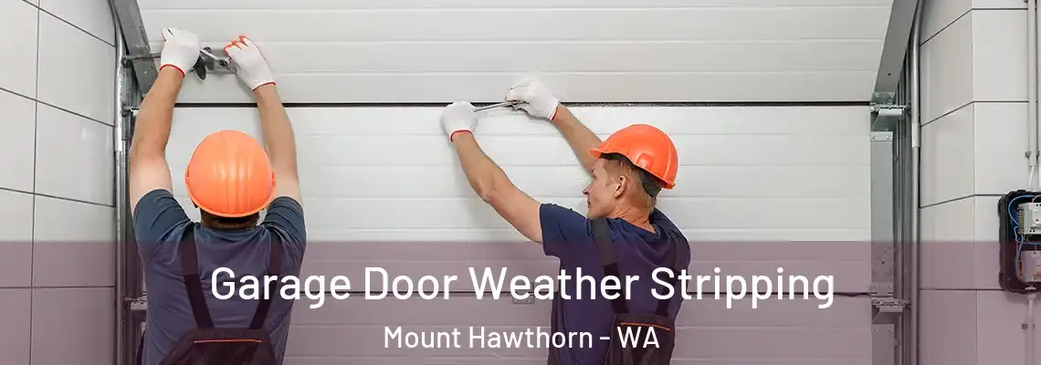 Garage Door Weather Stripping Mount Hawthorn - WA