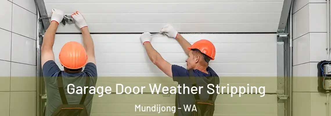 Garage Door Weather Stripping Mundijong - WA