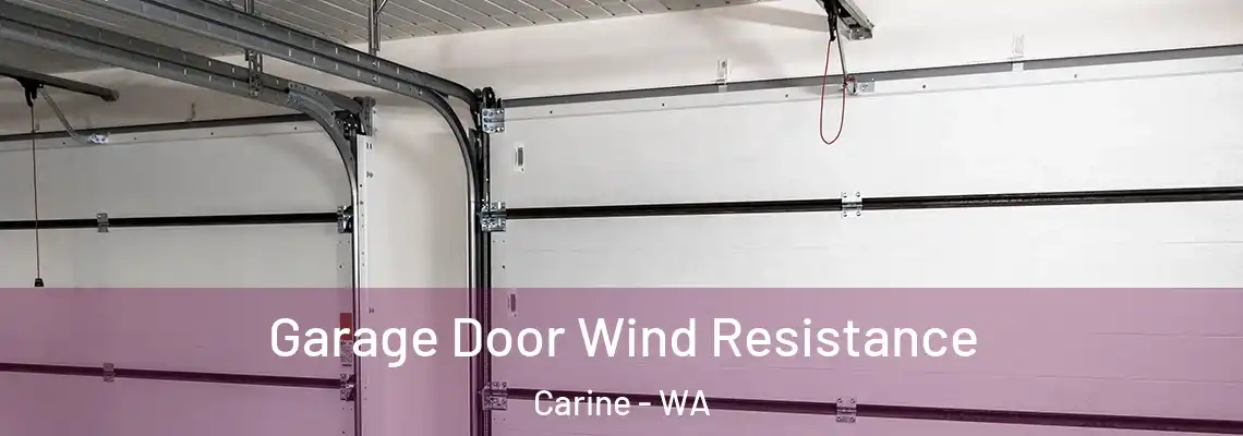  Garage Door Wind Resistance Carine - WA