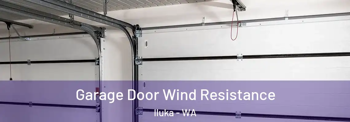 Garage Door Wind Resistance Iluka - WA