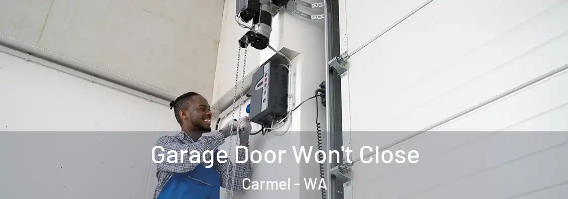 Garage Door Won't Close Carmel - WA