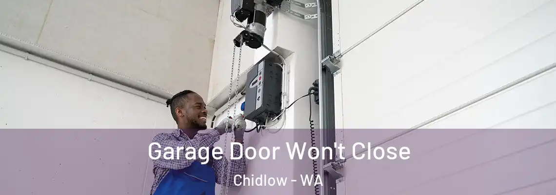  Garage Door Won't Close Chidlow - WA
