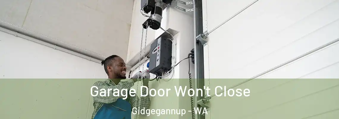 Garage Door Won't Close Gidgegannup - WA