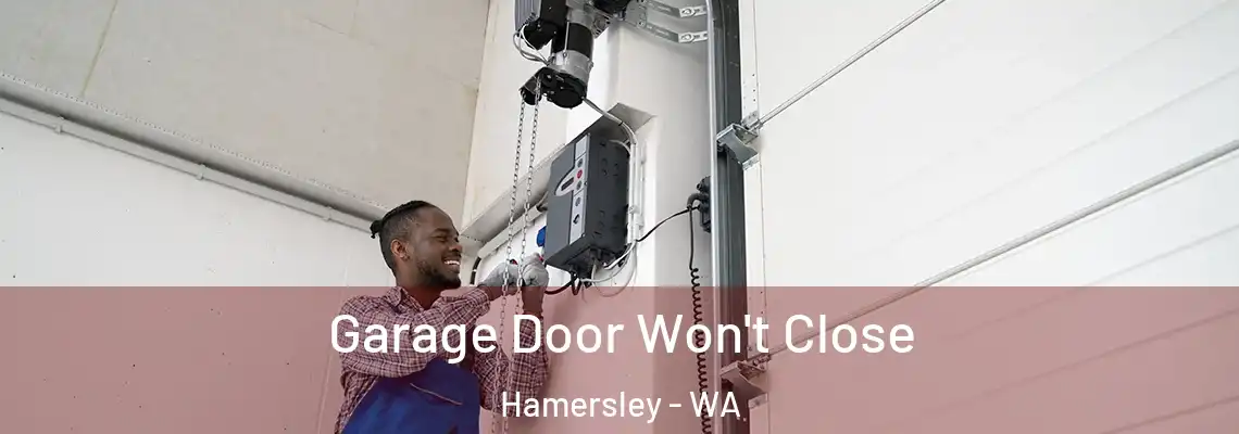 Garage Door Won't Close Hamersley - WA