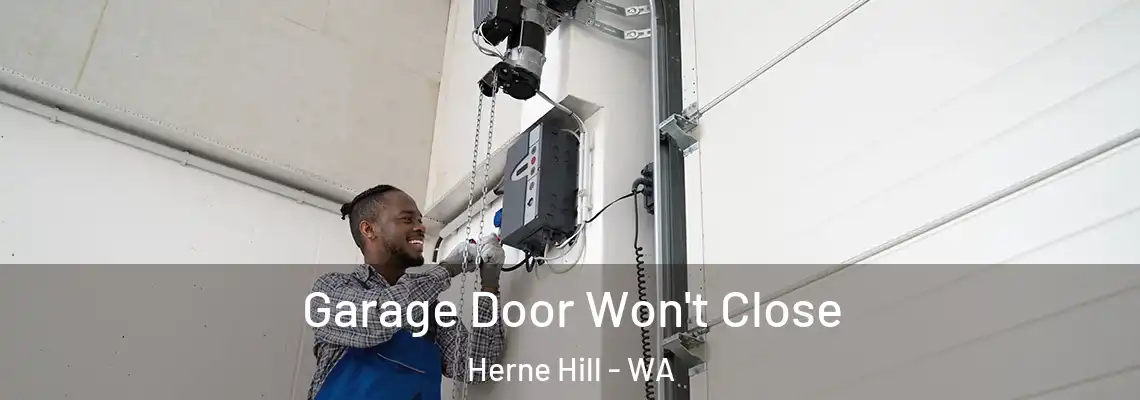Garage Door Won't Close Herne Hill - WA