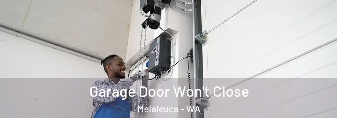 Garage Door Won't Close Melaleuca - WA