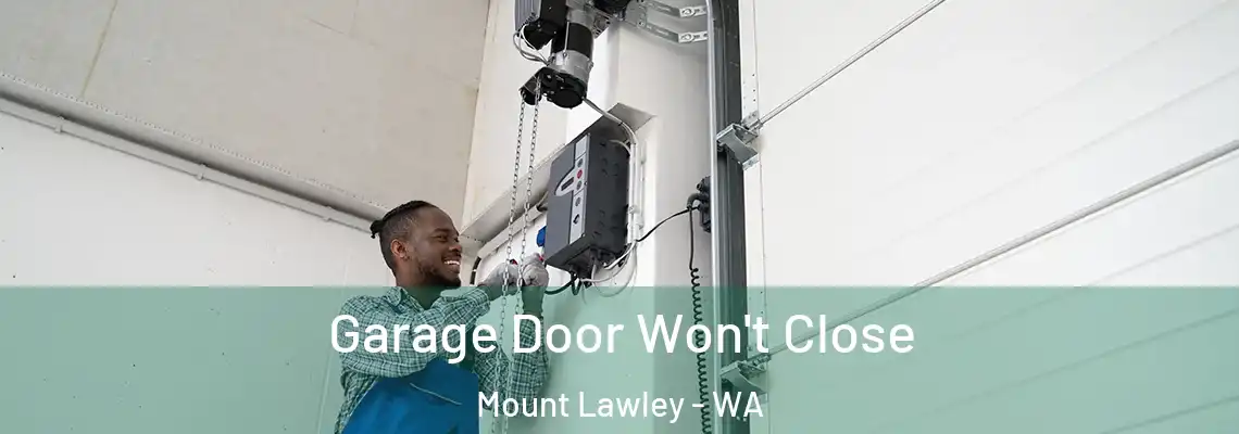 Garage Door Won't Close Mount Lawley - WA