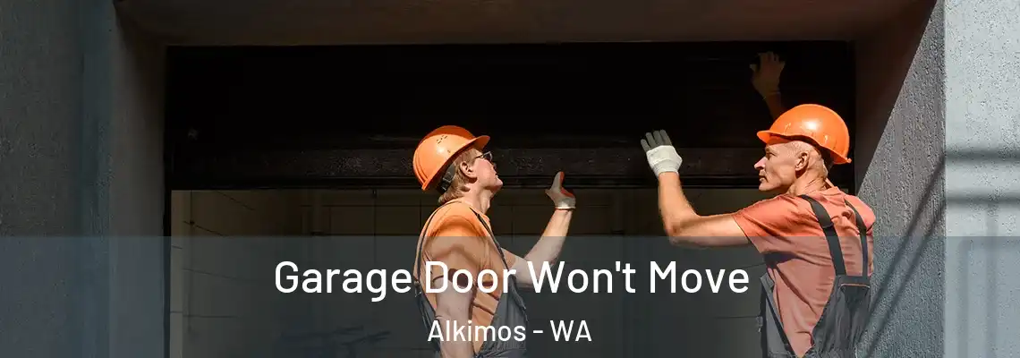 Garage Door Won't Move Alkimos - WA
