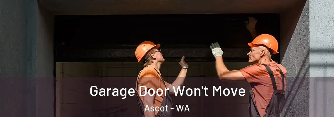 Garage Door Won't Move Ascot - WA
