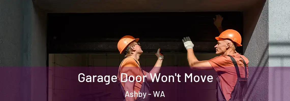 Garage Door Won't Move Ashby - WA