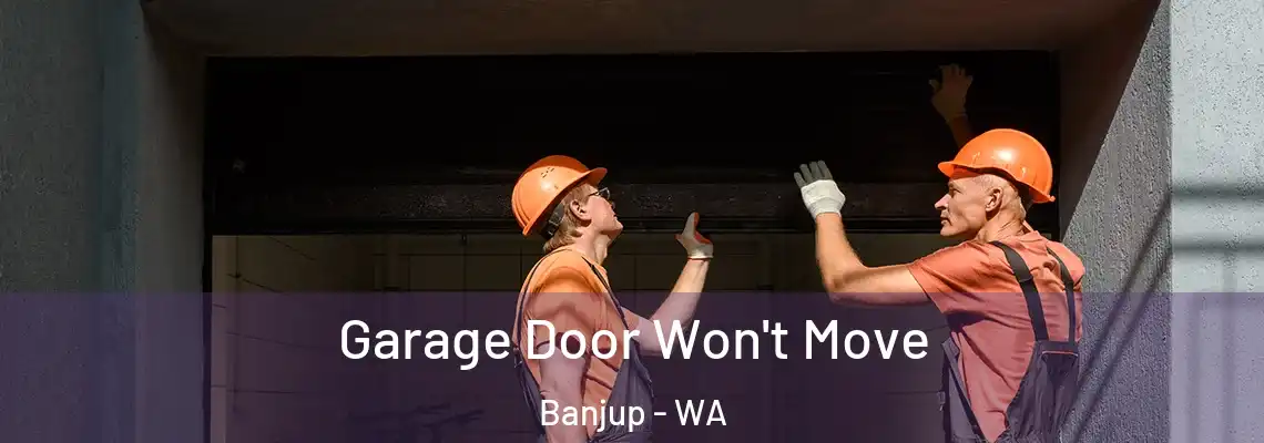  Garage Door Won't Move Banjup - WA
