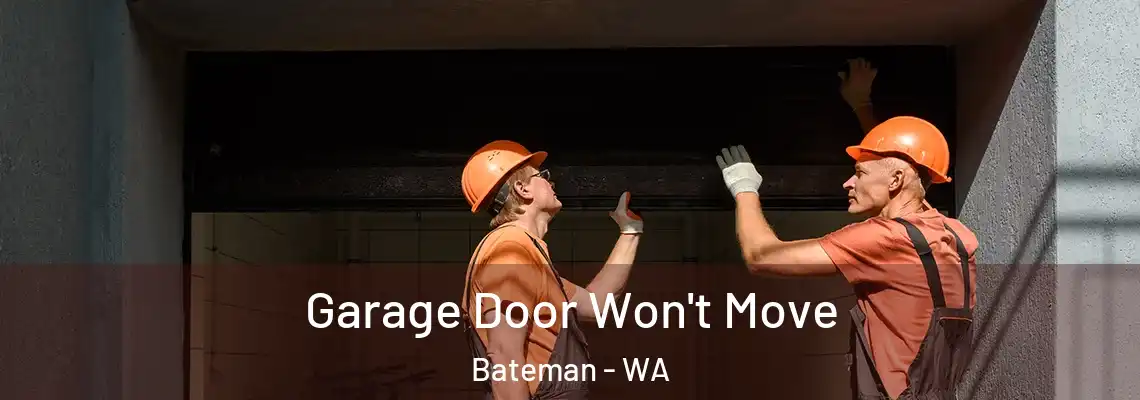 Garage Door Won't Move Bateman - WA
