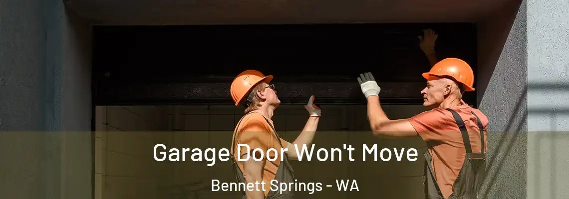  Garage Door Won't Move Bennett Springs - WA