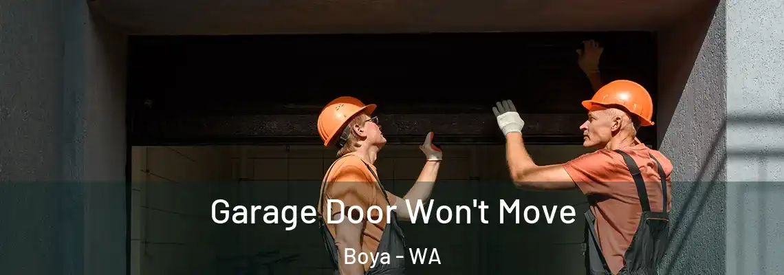Garage Door Won't Move Boya - WA
