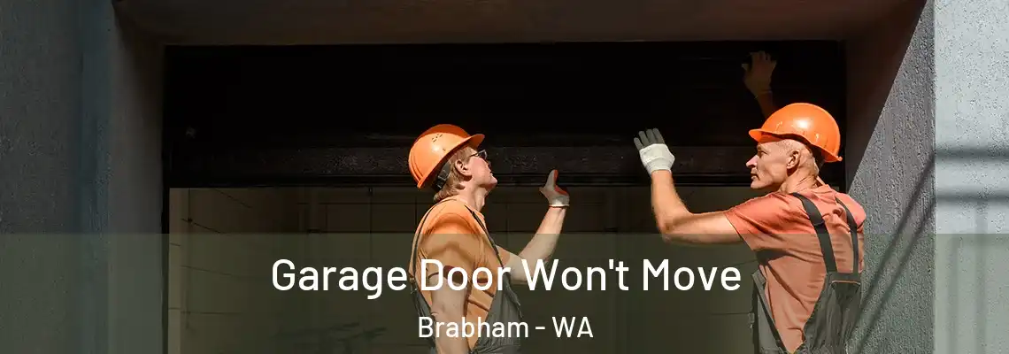 Garage Door Won't Move Brabham - WA