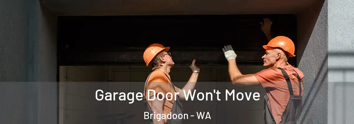 Garage Door Won't Move Brigadoon - WA