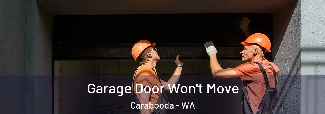 Garage Door Won't Move Carabooda - WA