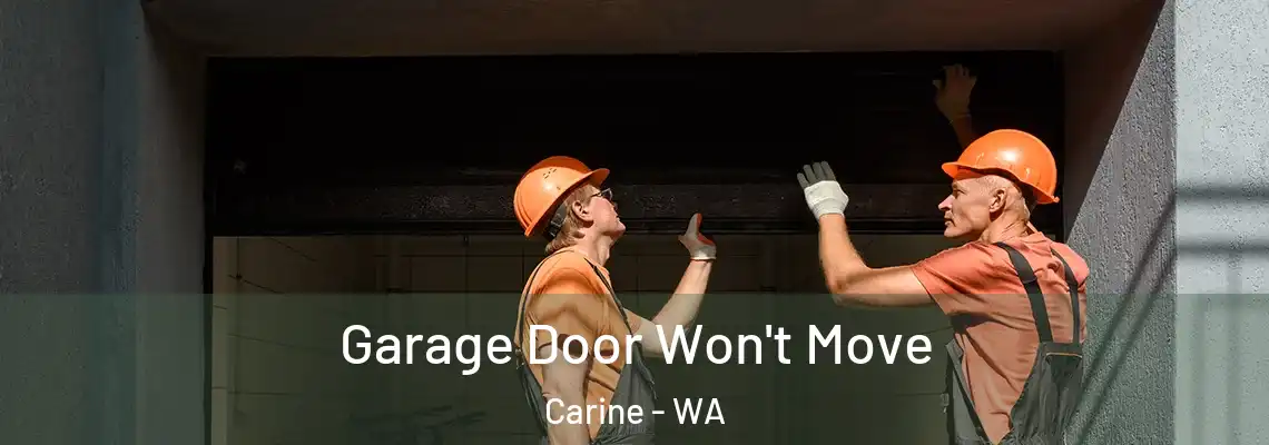 Garage Door Won't Move Carine - WA