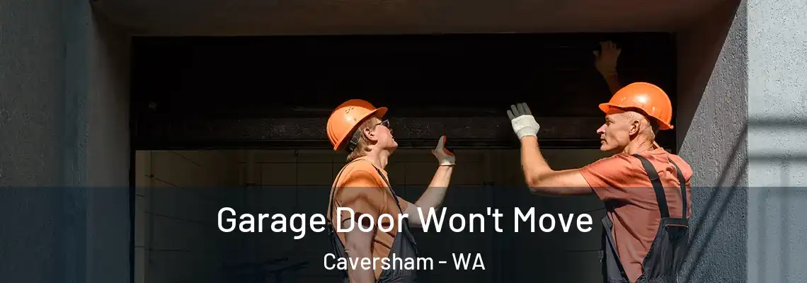 Garage Door Won't Move Caversham - WA