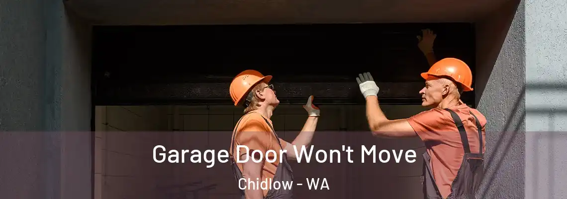 Garage Door Won't Move Chidlow - WA