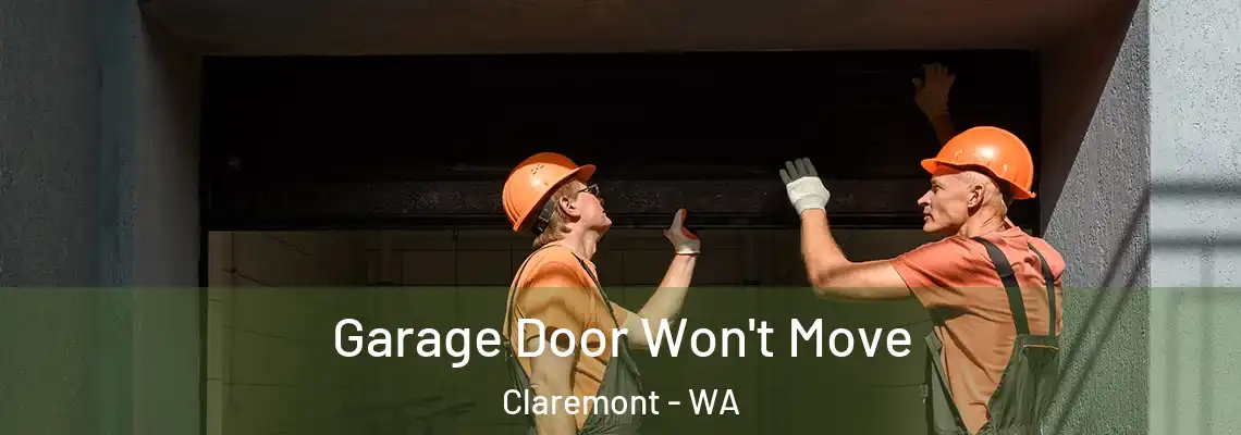 Garage Door Won't Move Claremont - WA