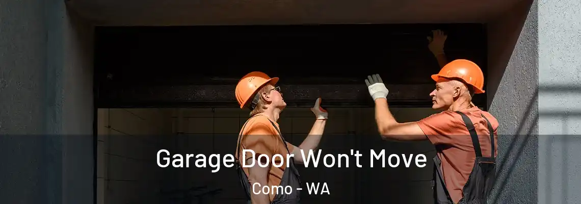 Garage Door Won't Move Como - WA