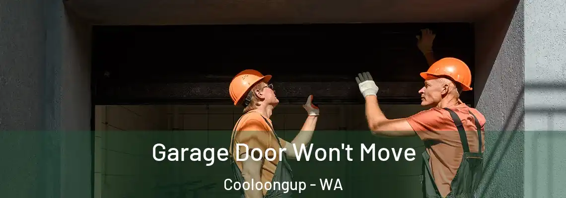 Garage Door Won't Move Cooloongup - WA