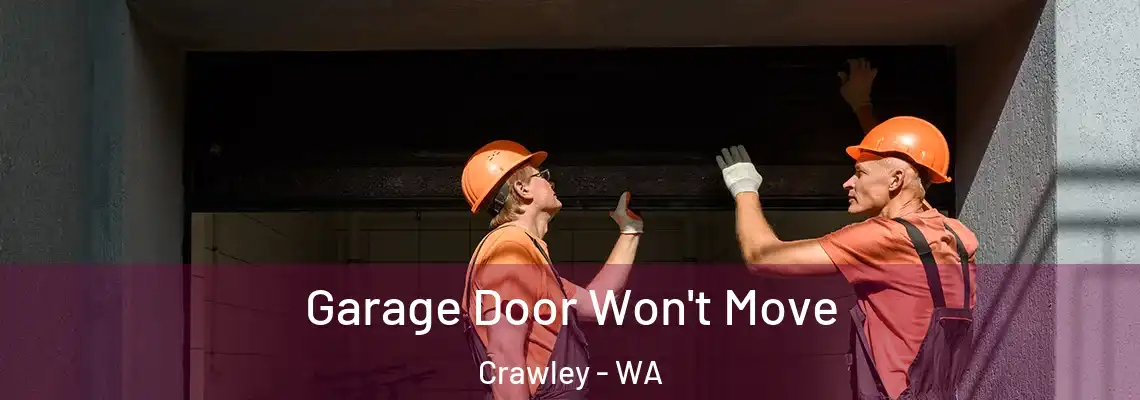 Garage Door Won't Move Crawley - WA