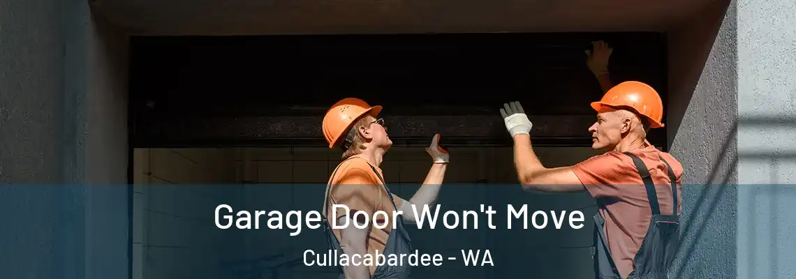 Garage Door Won't Move Cullacabardee - WA