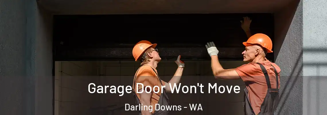 Garage Door Won't Move Darling Downs - WA