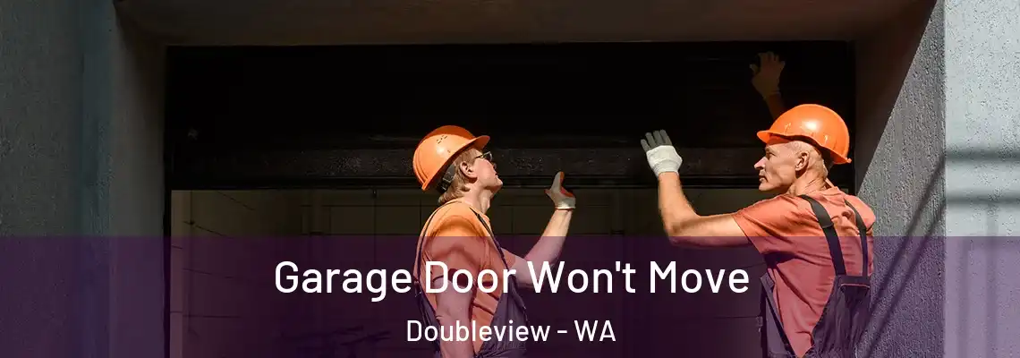 Garage Door Won't Move Doubleview - WA