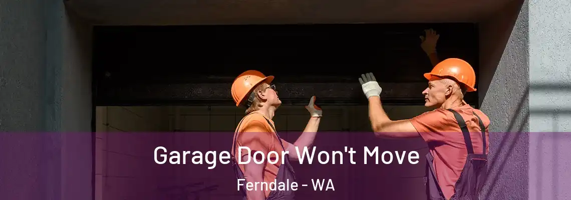  Garage Door Won't Move Ferndale - WA