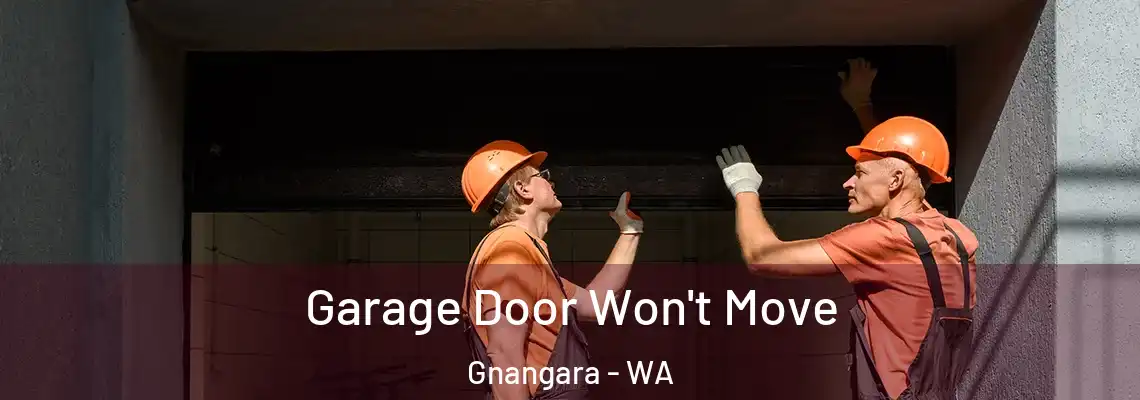  Garage Door Won't Move Gnangara - WA