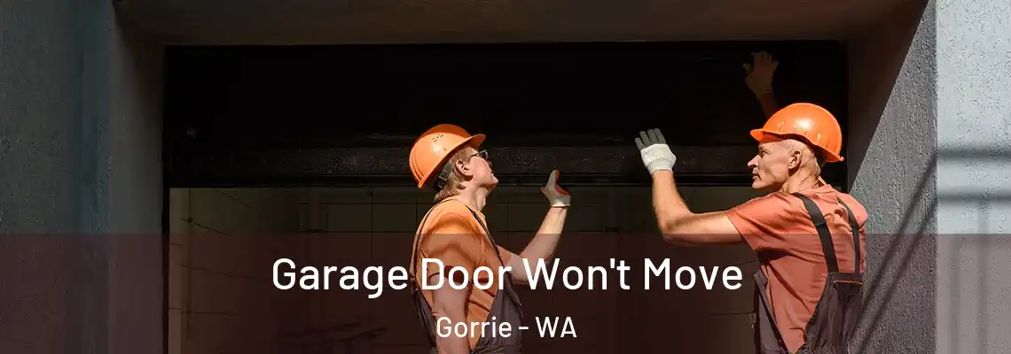 Garage Door Won't Move Gorrie - WA