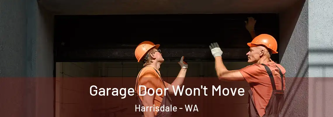 Garage Door Won't Move Harrisdale - WA