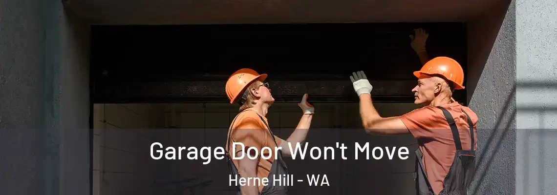 Garage Door Won't Move Herne Hill - WA