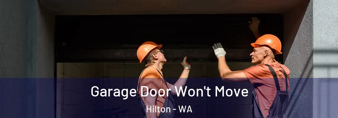 Garage Door Won't Move Hilton - WA