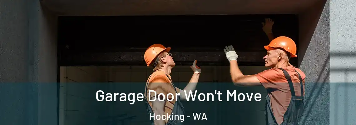 Garage Door Won't Move Hocking - WA
