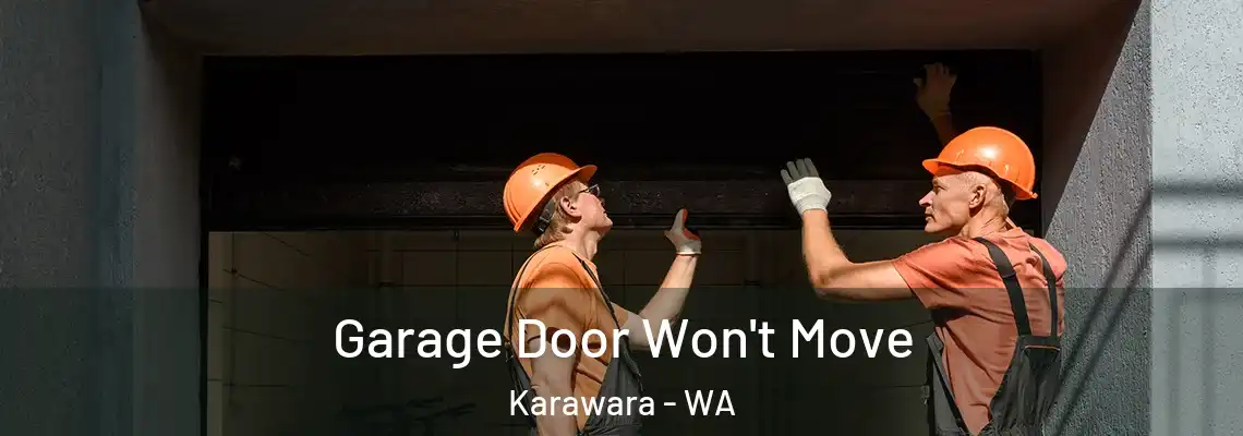 Garage Door Won't Move Karawara - WA