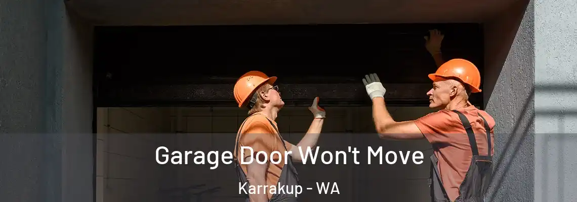 Garage Door Won't Move Karrakup - WA